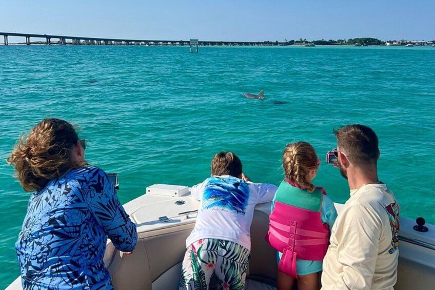 Private Crab Island Dolphins Snorkeling Sunset All Inclusive 4