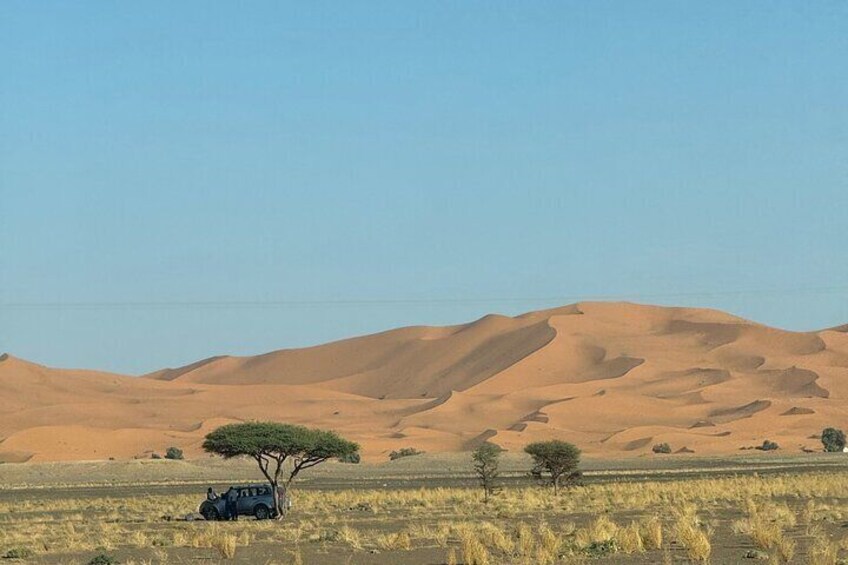 A desert landscape with sand dunes, a tree, and a vehicle. 5