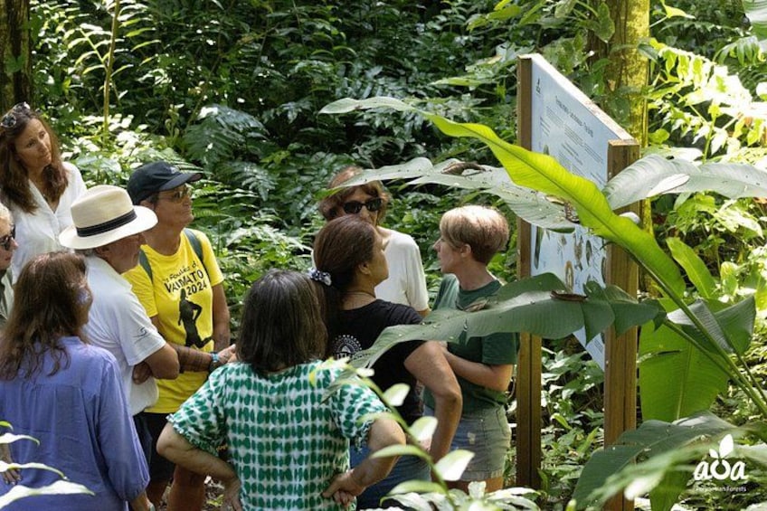 A group of people gathered around a sign in a lush, green forested area. 1
