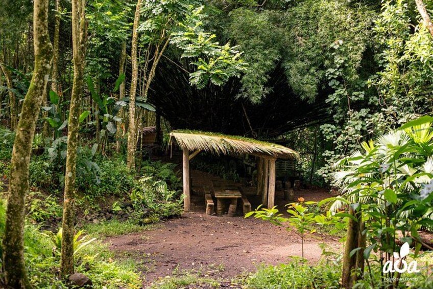 A thatched hut in a forested area with a dirt path leading to it. 4