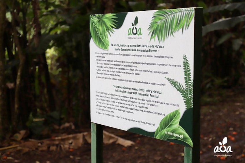 A sign with text and a logo, surrounded by tropical foliage. 3