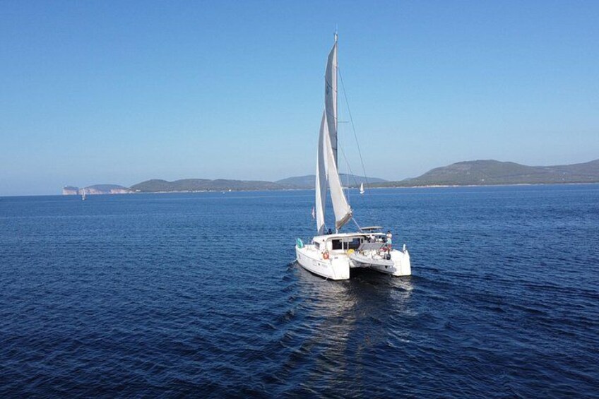 Full day catamaran tour in Alghero 3
