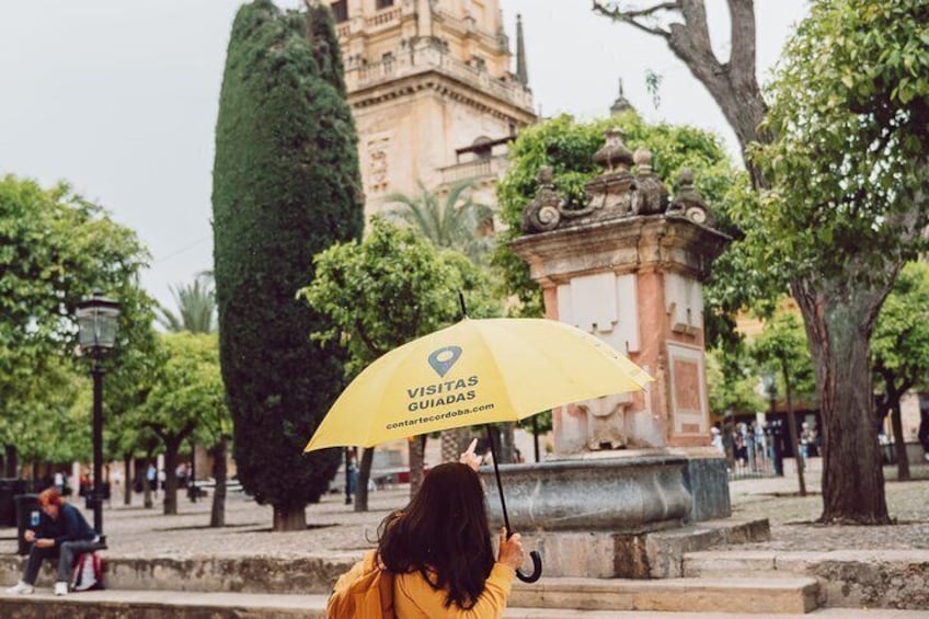 A person holding a yellow umbrella with a heart symbol and the text 'VISITAS GUIADA' in a park with trees and a historic building in the background. 5