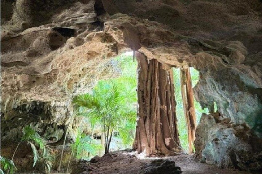 Bat cave 3