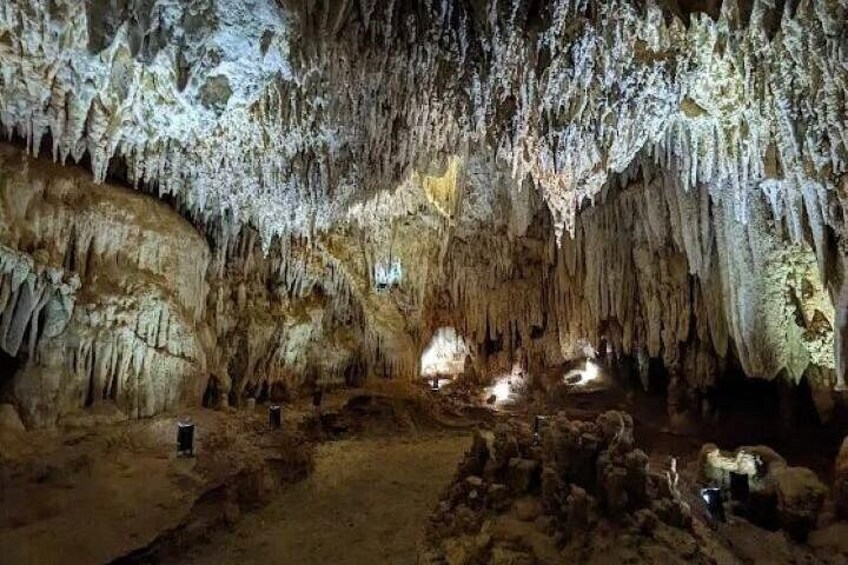 Root Cave 2
