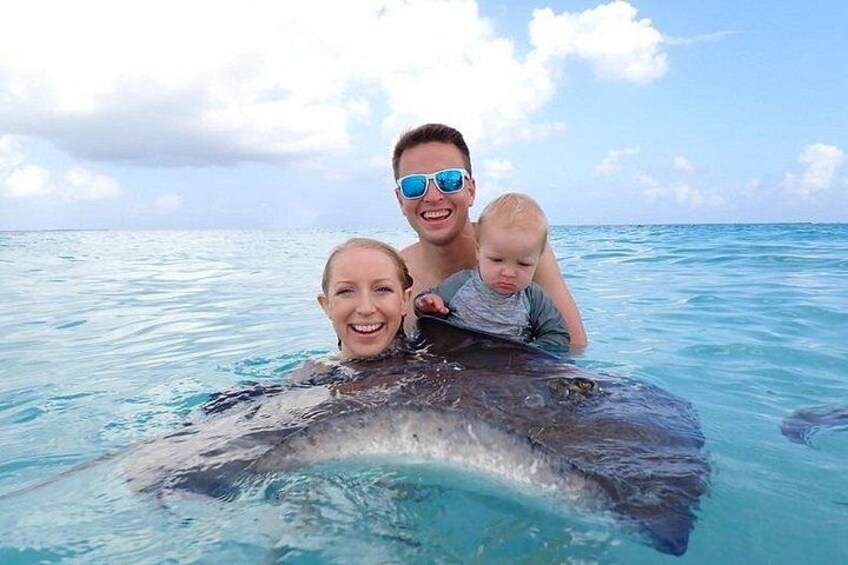 Una persona nell'oceano con un grande animale marino. 2