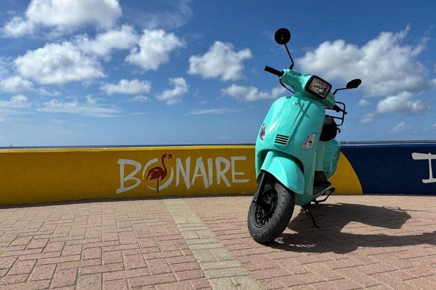 Island Scooter Tour Bonaire 4