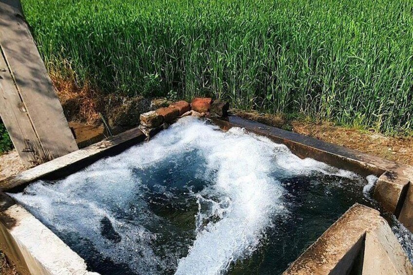 Amritsar City Tour and Farm Stay Retreat 2