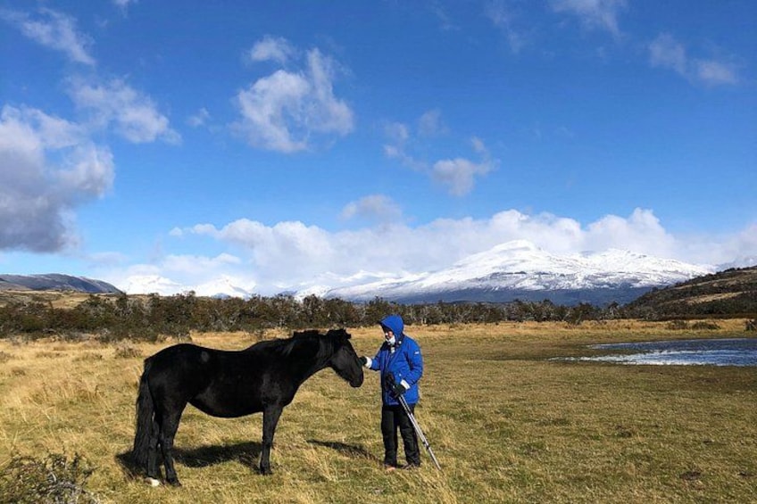 A person in a blue jacket standing next to a black horse in a grassy field with a mountain in the background. 5