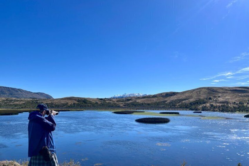 Bird Watching and Fauna in Chilean Patagonia Private Tour 5
