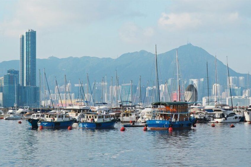 Different Tastes of Hong Kong 2