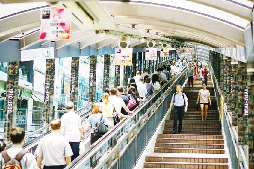 Different Tastes of Hong Kong 3