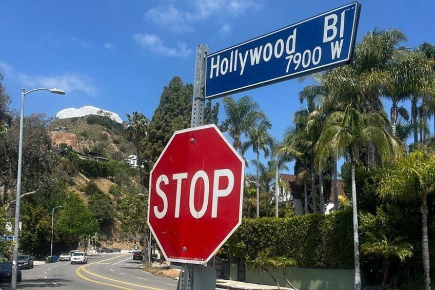 LA in a Day | Private Full Day Sightseeing Tour of Los Angeles 2