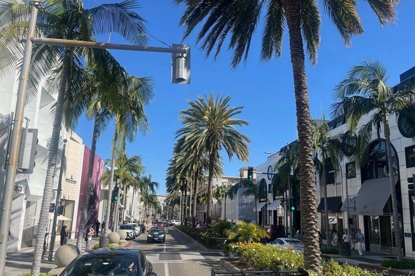 LA in a Day | Private Full Day Sightseeing Tour of Los Angeles 4