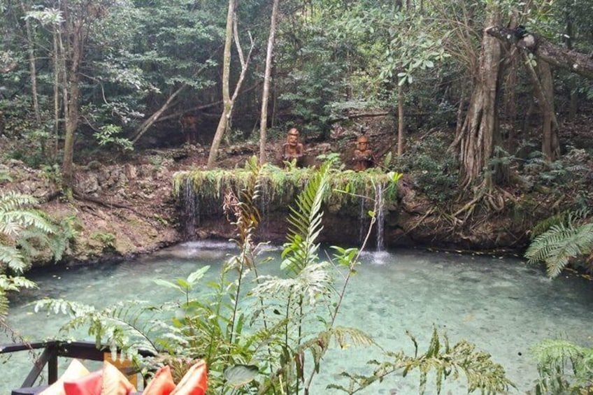 A forested area with a clear water stream, ferns, and a small waterfall. 3