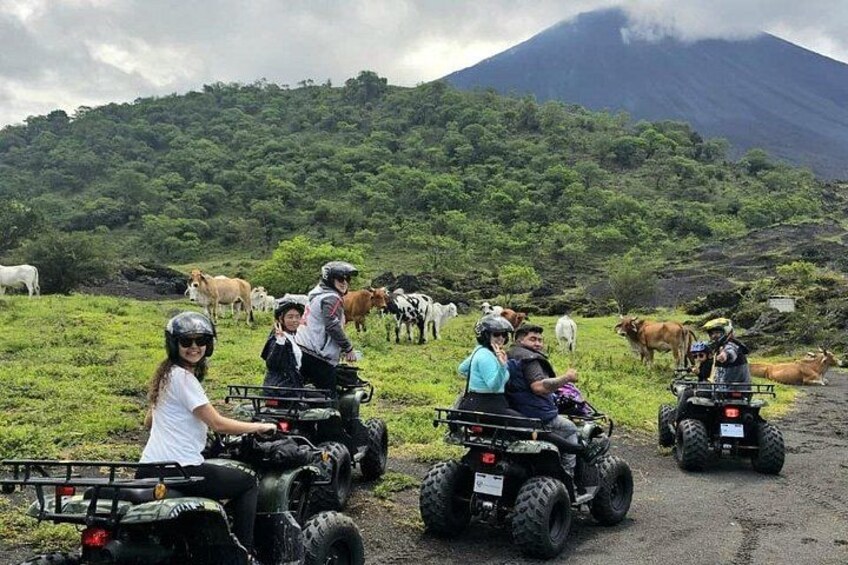 A group of people on ATVs in a grassy field with cows and a mountain in the background. 1