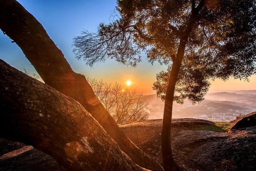 A sunset over a mountainous landscape with a prominent tree in the foreground. 2