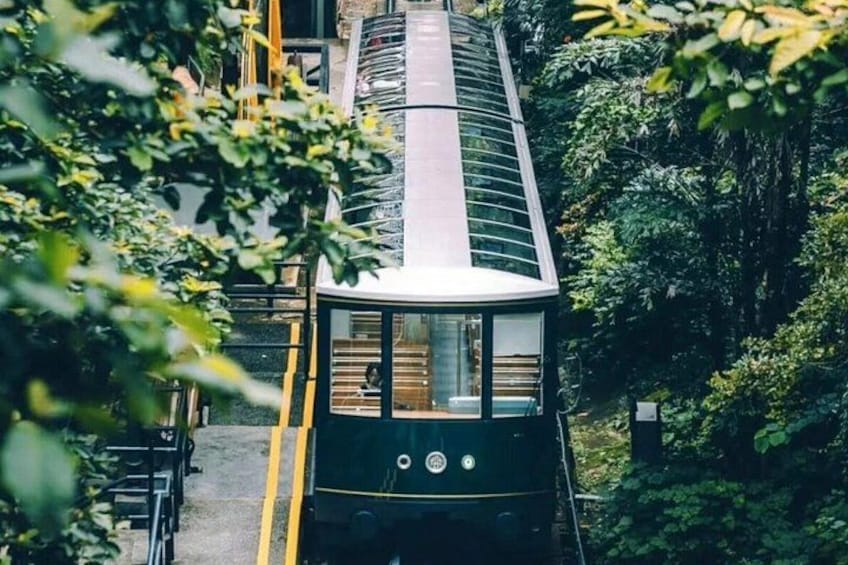 Eine Seilbahn fährt durch ein bewaldetes Gebiet. 5