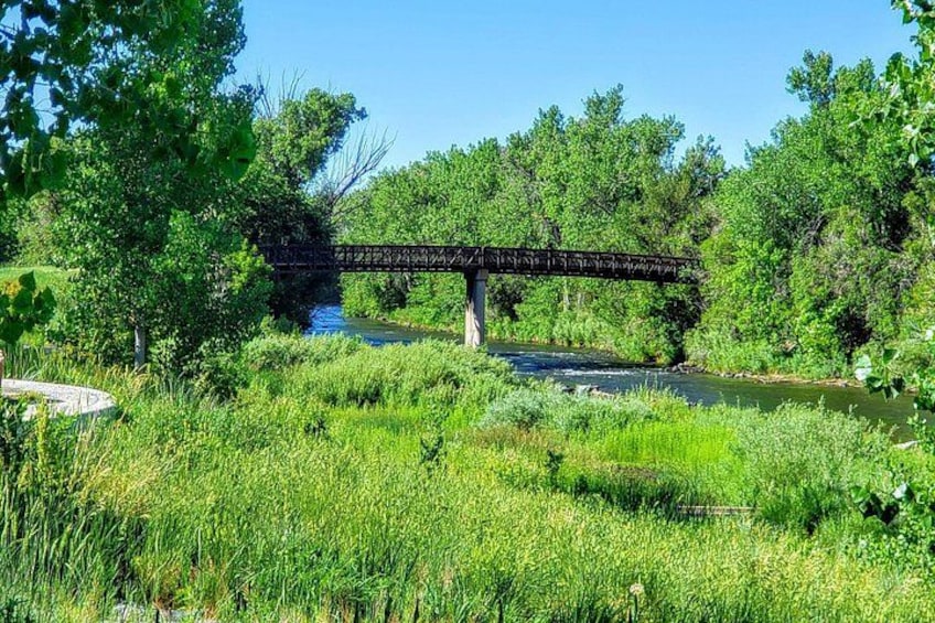 Un pont enjambant une rivière, entouré d’une végétation luxuriante et d’arbres. 3