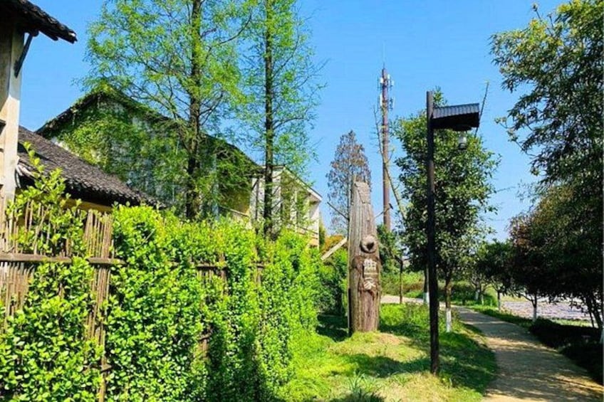 Entorno rural con una casa de madera, un sendero y abundante vegetación. 1