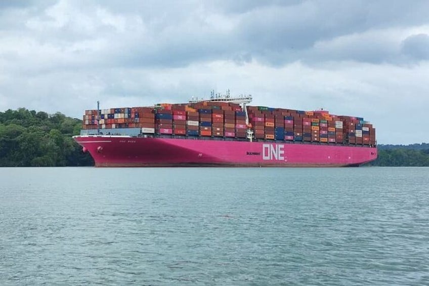 A large cargo ship with the name 'ONE' on its side, sailing on a body of water with a forested shoreline in the background. 3