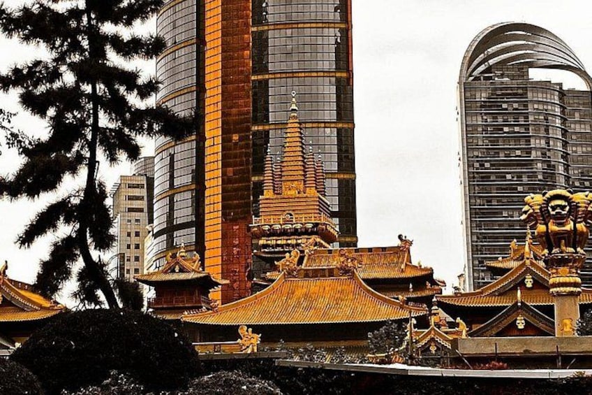 Private Shanghai Full Day City Tour with Old and New Highlights 1