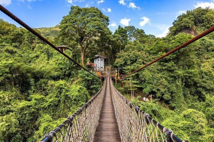 A suspension bridge surrounded by dense forest. 3