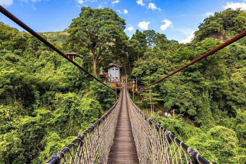 A suspension bridge surrounded by dense forest. 3