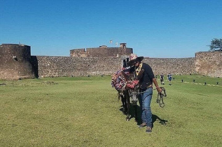 A person with a dog in a grassy area near a stone wall. 2