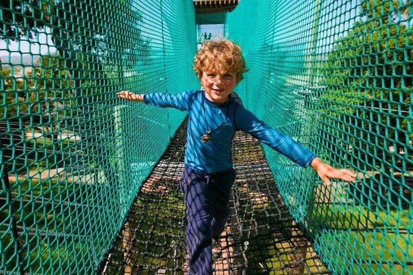Skynet Playground 4