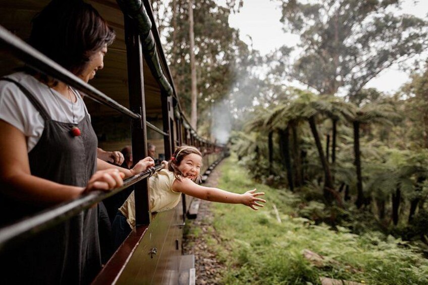Melbourne Puffing Billy Train and Penguin Parade Day Tour Escape 1