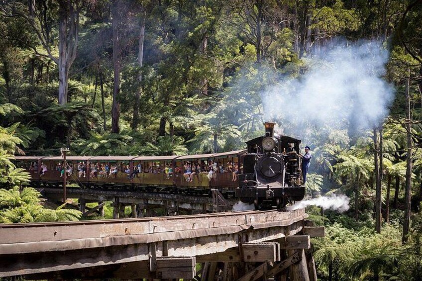 Melbourne Puffing Billy Train and Penguin Parade Day Tour Escape 2