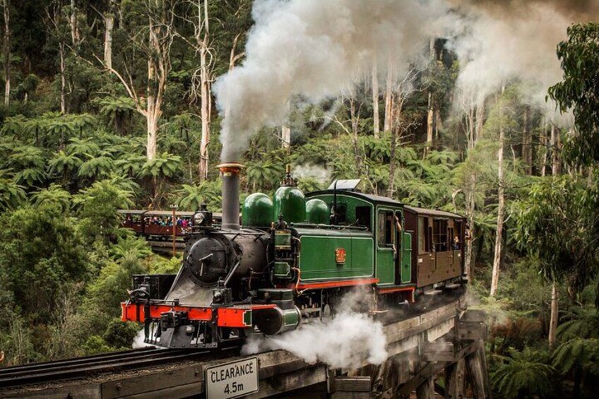 A steam locomotive with a green and brown carriages traveling through a forest. 4