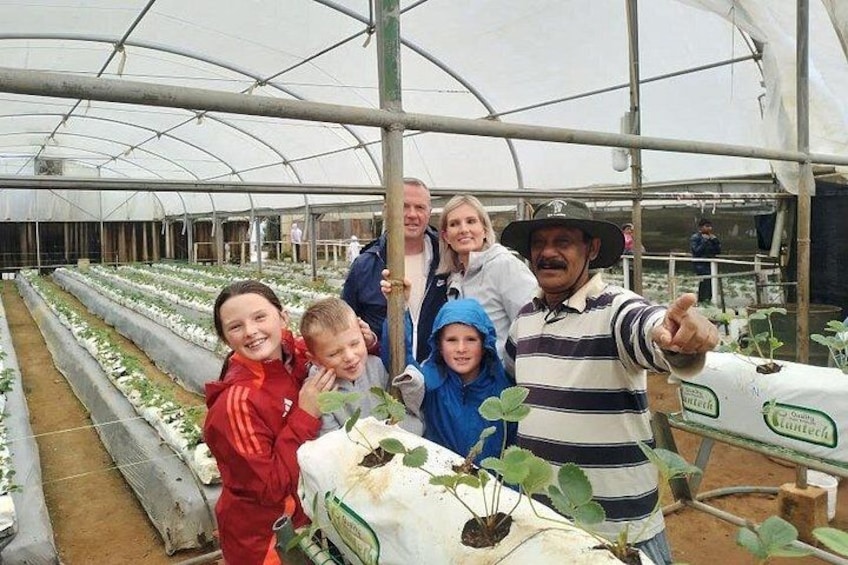 A greenhouse with rows of plants, people, and a man pointing. 2