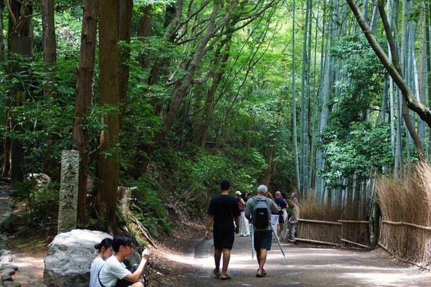 Kyoto: Arashiyama Bamboo Forest, Monkeys, Matcha & Temple Tour 2