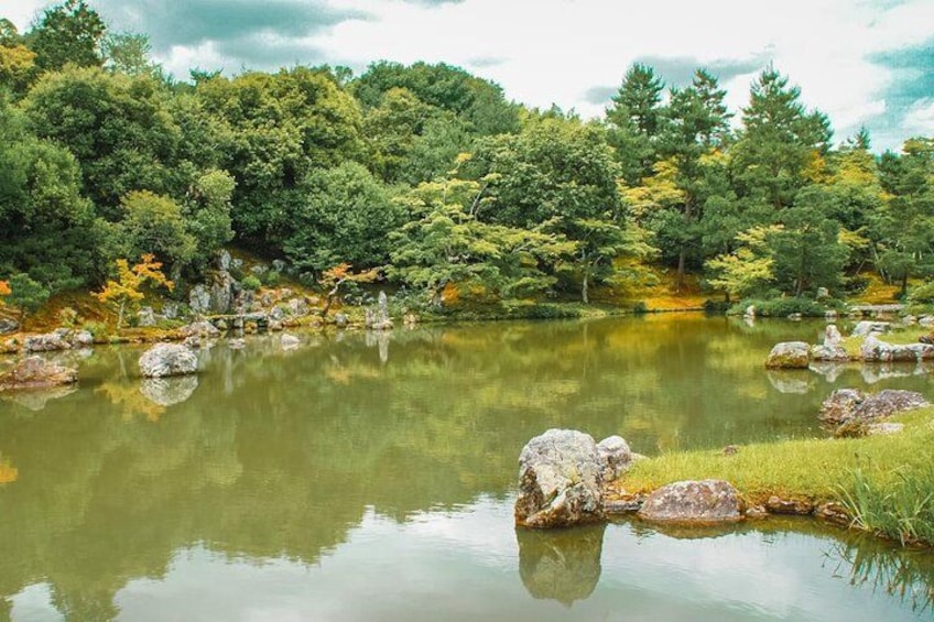 Kyoto: Arashiyama Bamboo Forest, Monkeys, Matcha & Temple Tour 2
