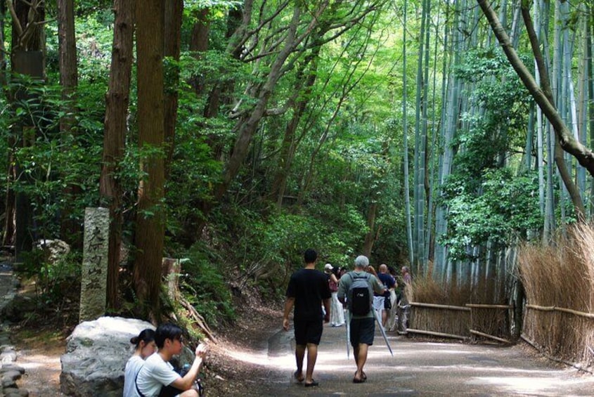 Kyoto: Arashiyama Bamboo Forest, Monkeys, Matcha & Temple Tour 3