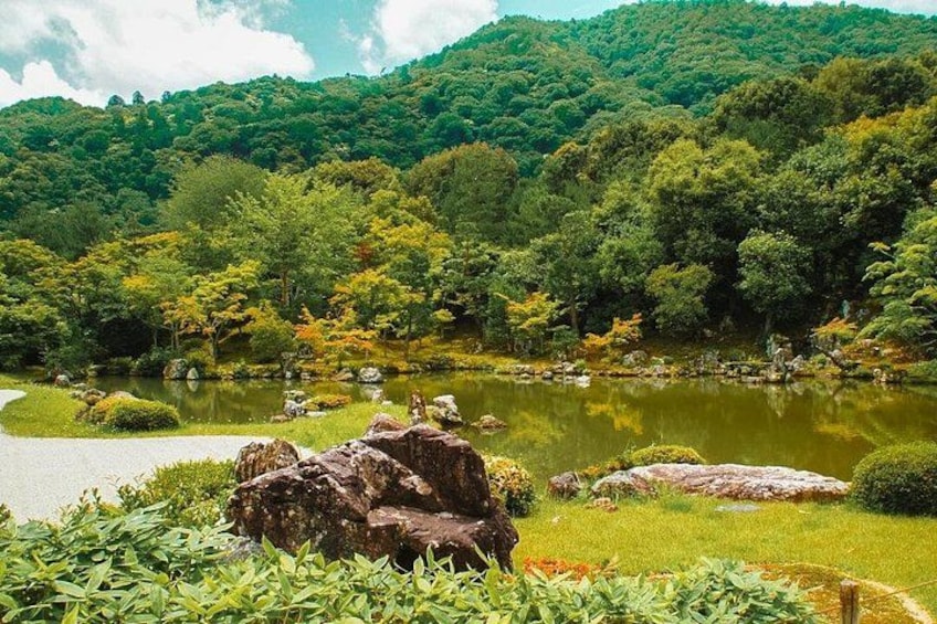 Kyoto: Arashiyama Bamboo Forest, Monkeys, Matcha & Temple Tour 2