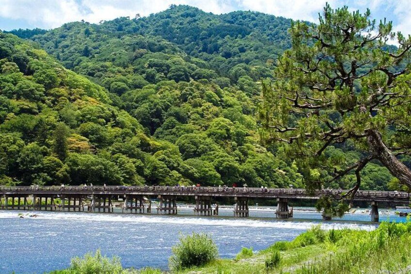 Kyoto: Arashiyama Bamboo Forest, Monkey Park & Temple Tour 2