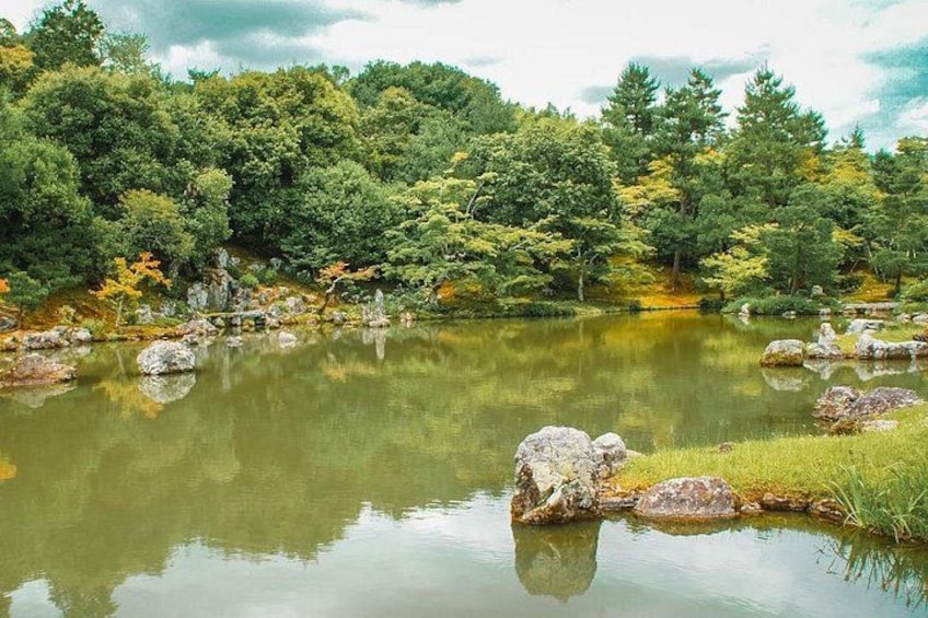 Kyoto: Arashiyama Bamboo Forest, Monkeys, Matcha & Temple Tour 2