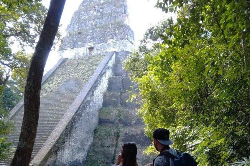 A stone staircase leading up to a large stone structure surrounded by trees. 4