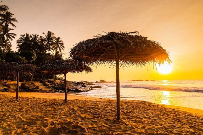 A beach with palm trees and a thatched umbrella at sunset. 2
