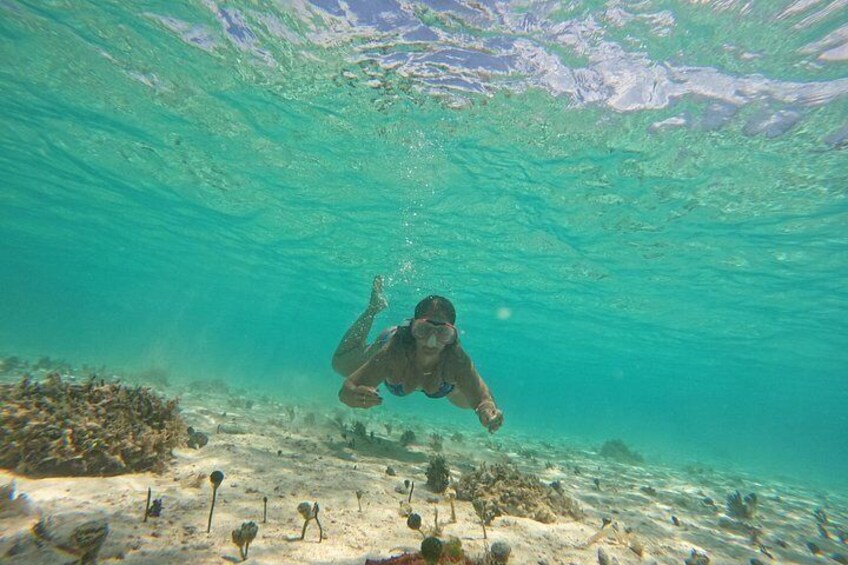 A person swimming underwater. 5
