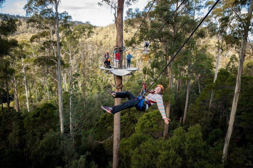 A person zip-lining through a forest with trees and a platform. 2