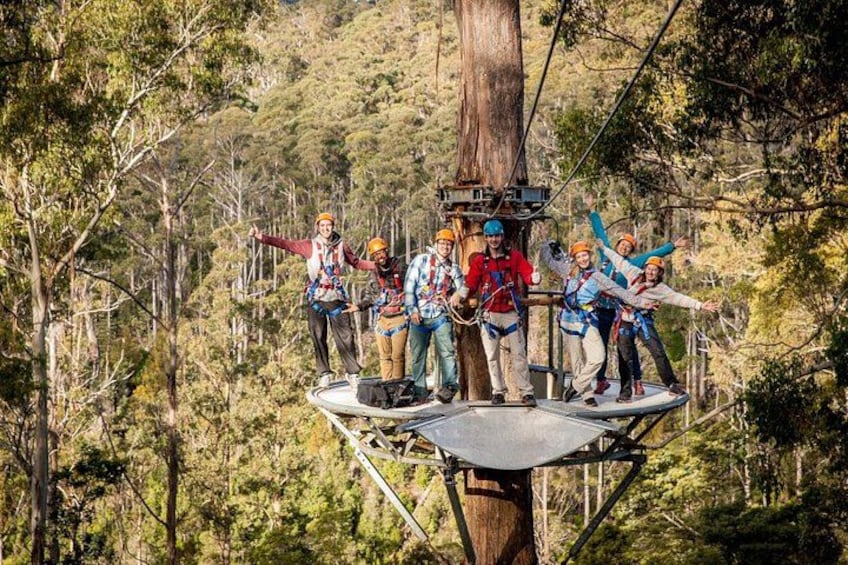 People on a suspended platform in a forested area. 1