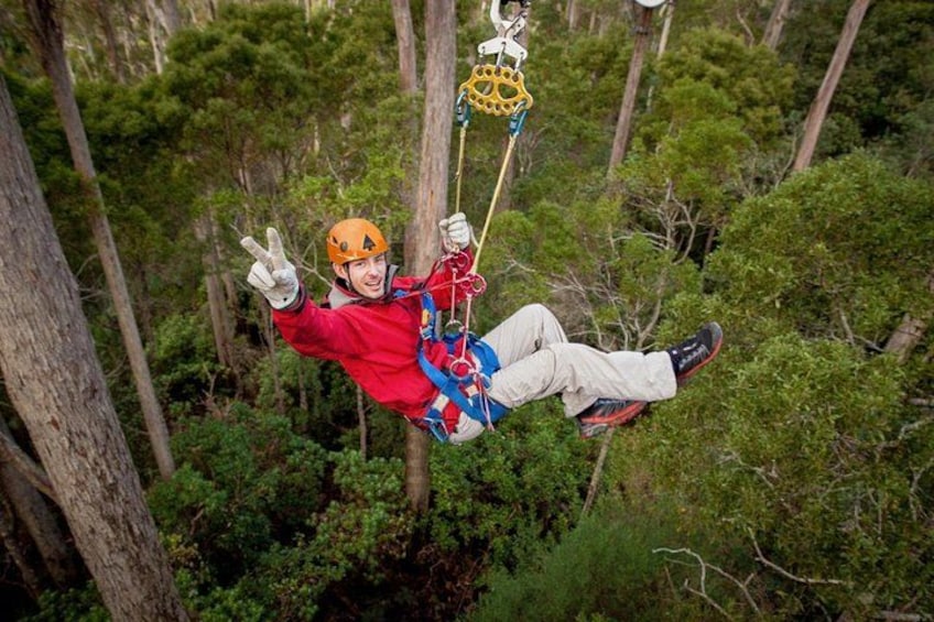 A person suspended in mid-air by a zip line, surrounded by dense forest. 2