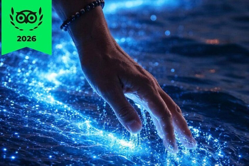Bioluminescence Cocos Tours 1