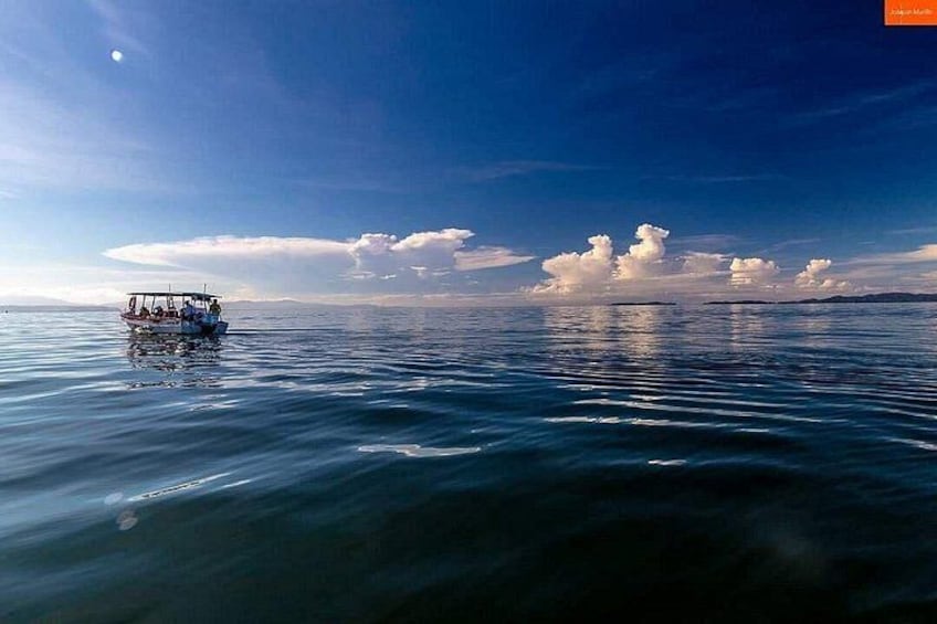 Bioluminescence Cocos Tours 4