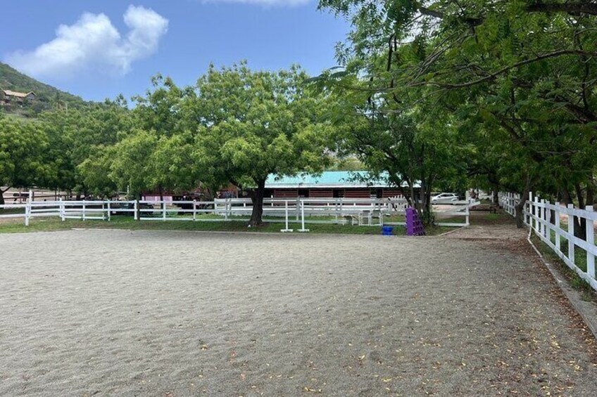 Un'arena equestre recintata con alberi e un edificio sullo sfondo. 2