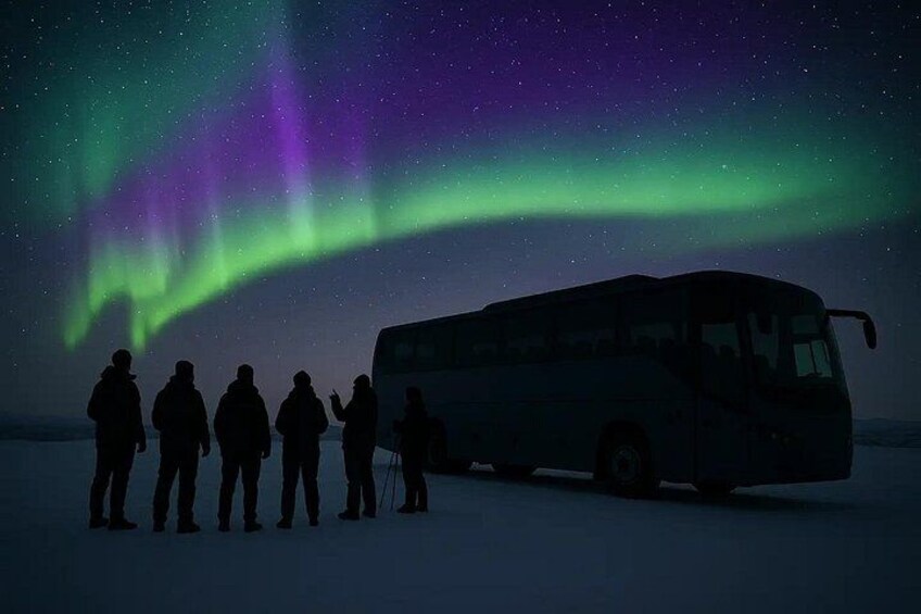 Small Group Northern Lights Hunt in Alta 3